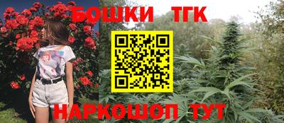 соль ск Сланцы